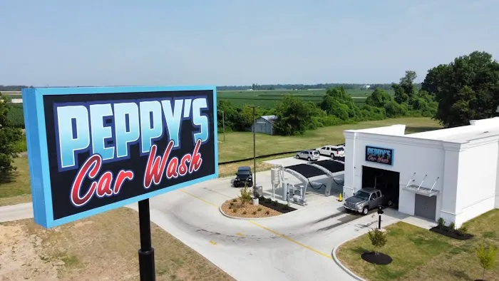 Parrot's Car Wash Picture 3