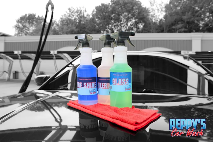 Parrot's Car Wash Picture 6