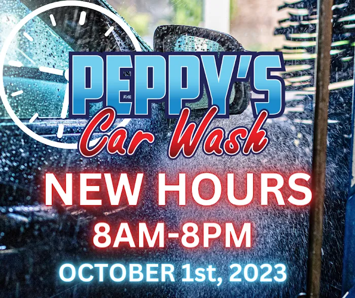 Parrot's Car Wash Picture 7