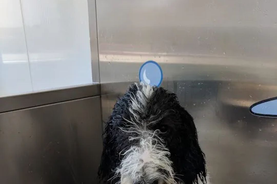 Ultimate Shine Car Wash