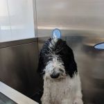 Ultimate Shine Car Wash