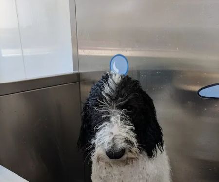 Ultimate Shine Car Wash