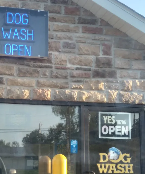 Mud Magnet Car Wash #6 Picture 7