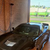 WHITE SQUIRREL WASH ico