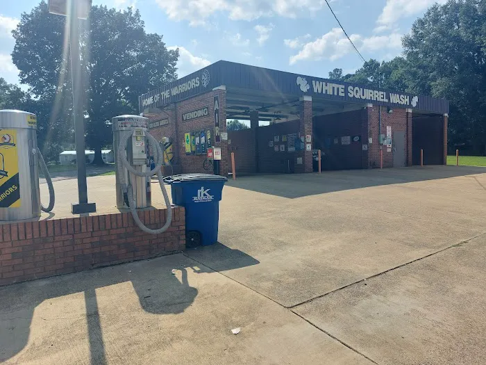 WHITE SQUIRREL WASH Picture 5