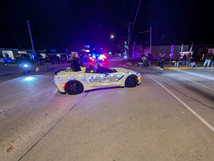 Auto Selfie Catlin Picture 2