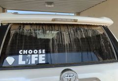 Mud Magnet Car Wash #5 photo 4