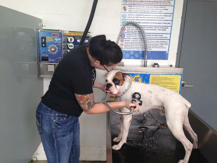 Wash Park Car Wash Picture 8