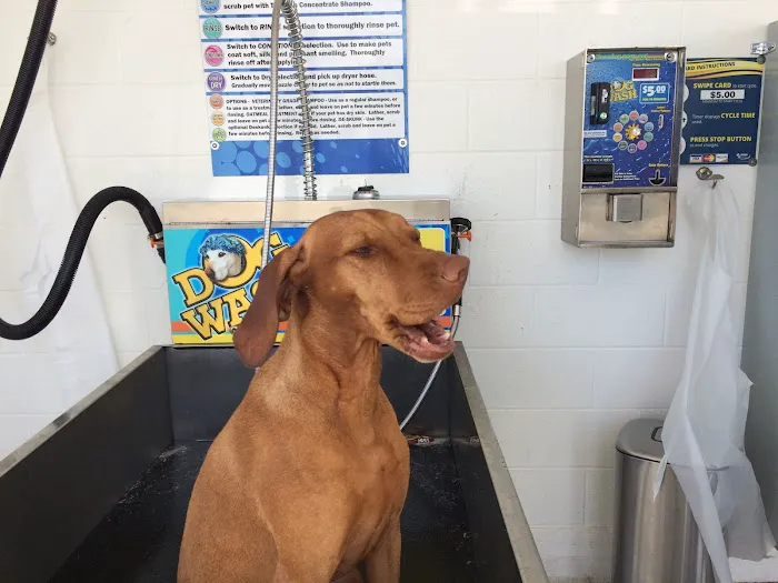 Wash Park Car Wash Picture 6