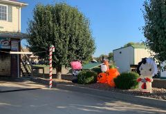 Santa Claus Car Care photo 3