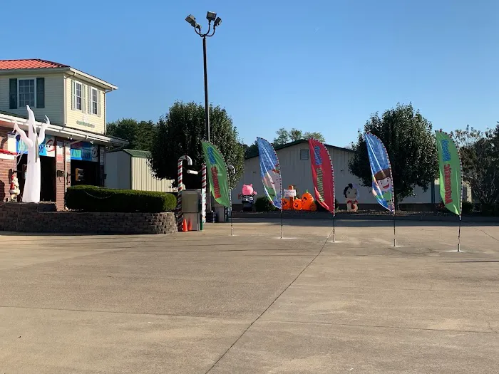 Santa Claus Car Care Picture 7