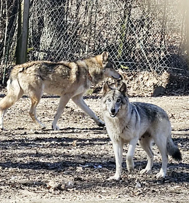 Spencer Indiana Car Wash Picture 1