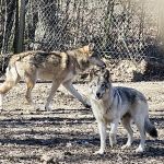 Spencer Indiana Car Wash
