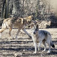 Spencer Indiana Car Wash ico