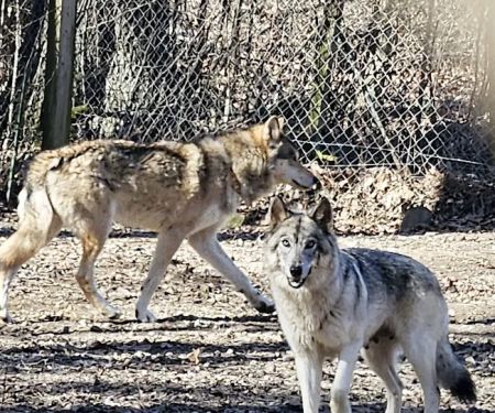 Spencer Indiana Car Wash