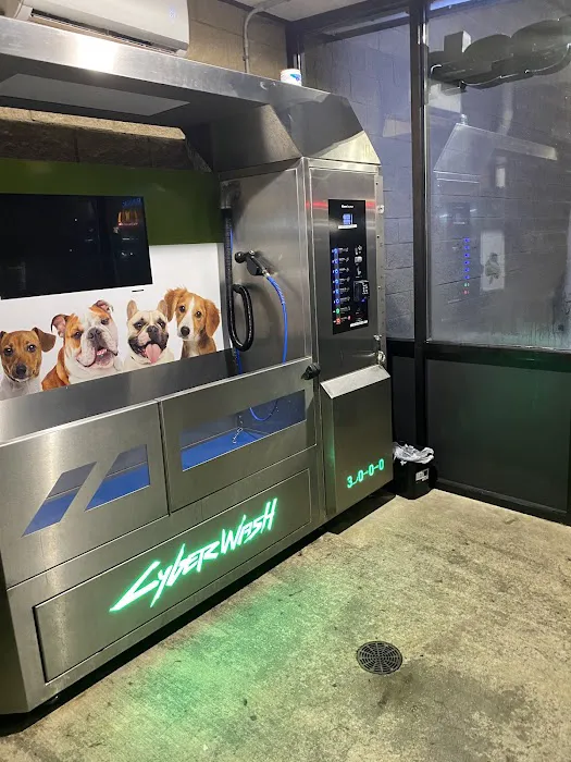 Shammys Auto Wash Picture 8