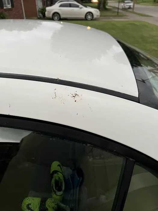 Shammy's Auto Wash Picture 5