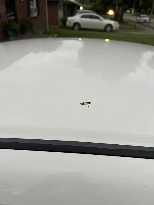 Shammy's Auto Wash Picture 8