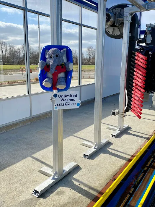 Ollie Wash Picture 6