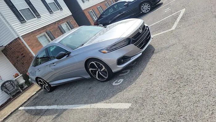 Ollie Wash Picture 8