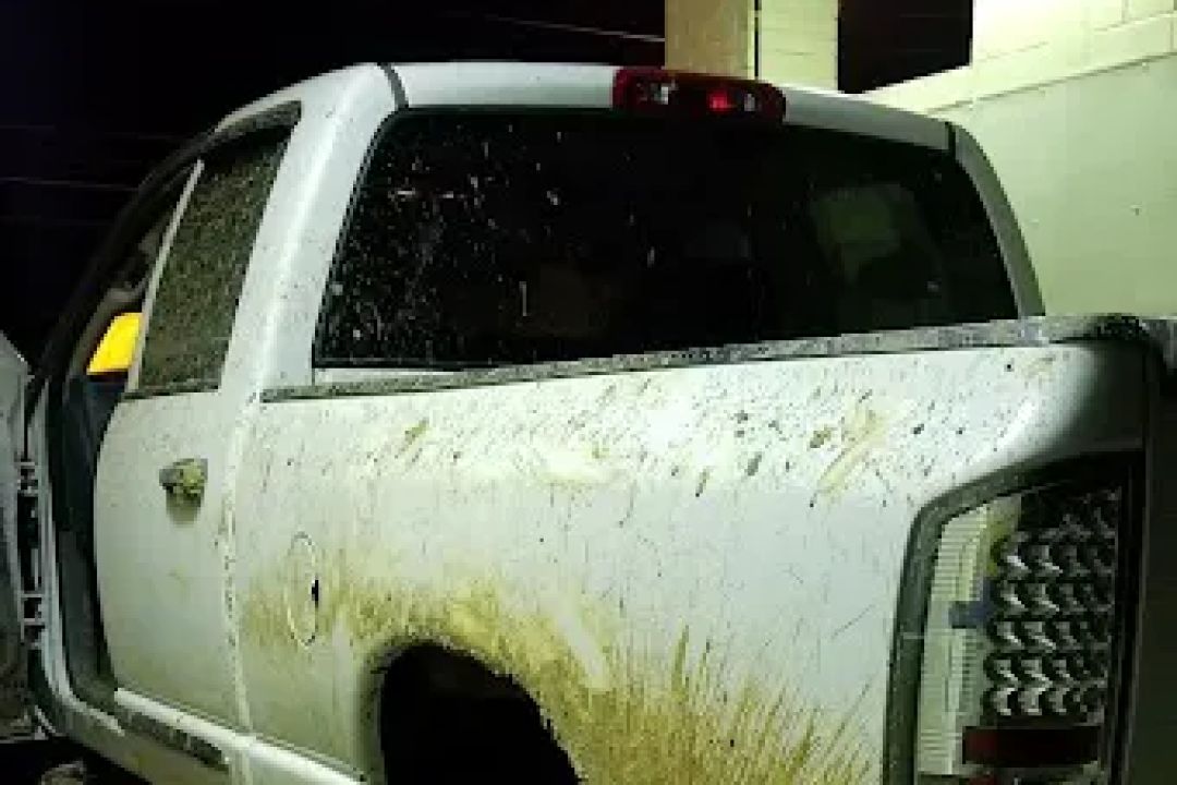 Panther Car Wash