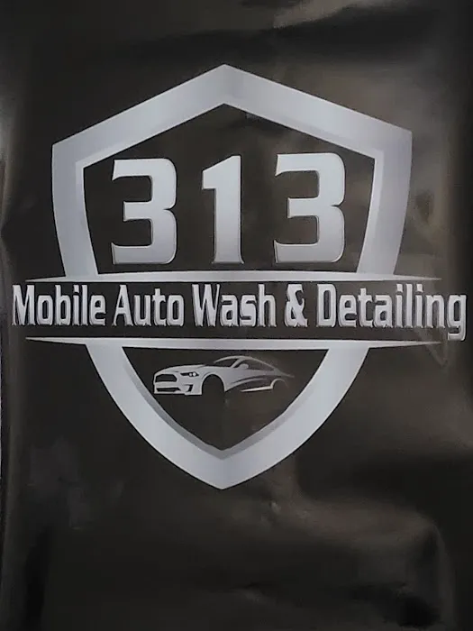 313 MOBILE AUTO WASH & DETAILING, LLC Picture 1