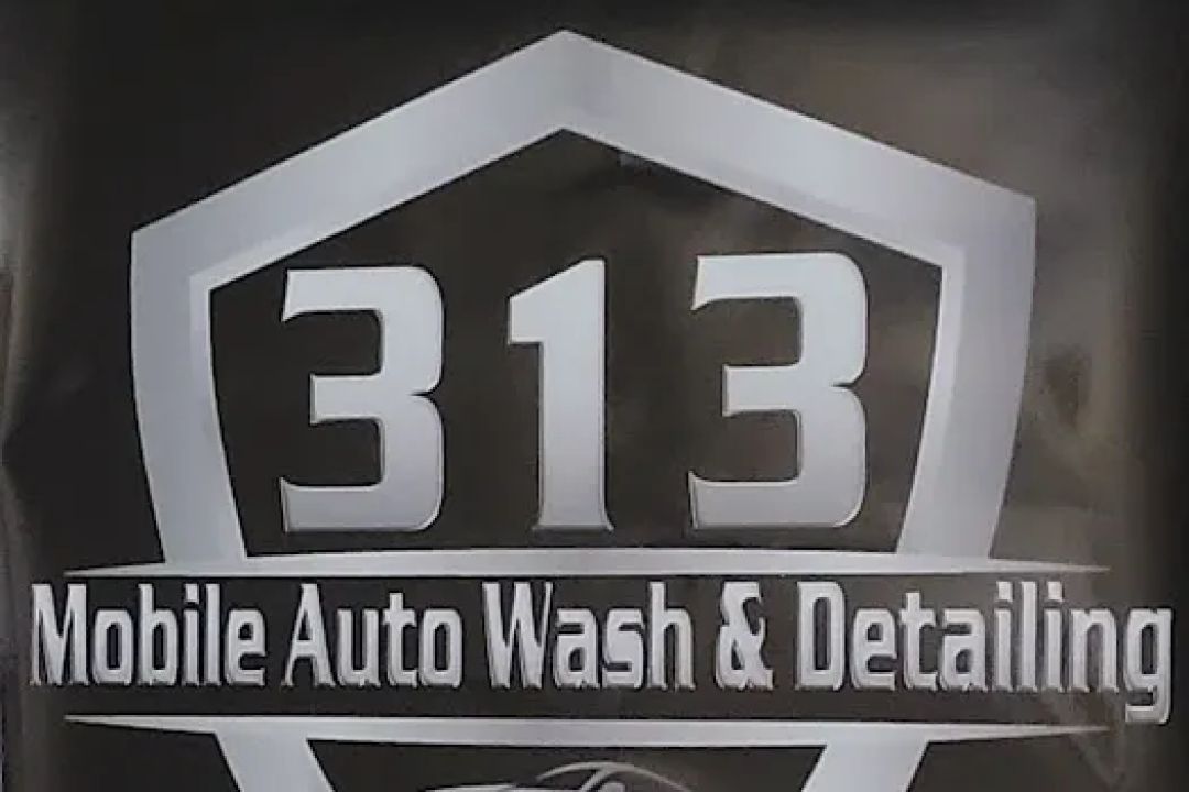 313 MOBILE AUTO WASH & DETAILING, LLC