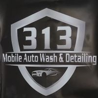 313 MOBILE AUTO WASH & DETAILING, LLC ico