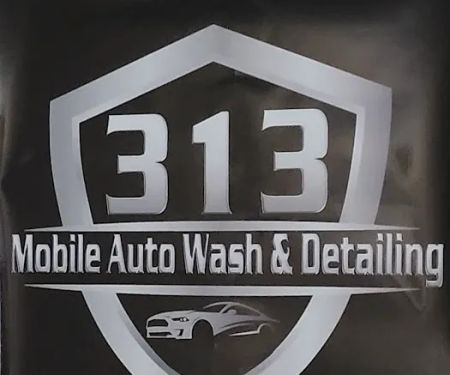 313 MOBILE AUTO WASH & DETAILING, LLC