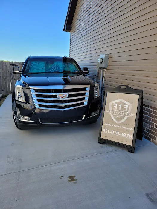 313 MOBILE AUTO WASH & DETAILING, LLC Picture 5