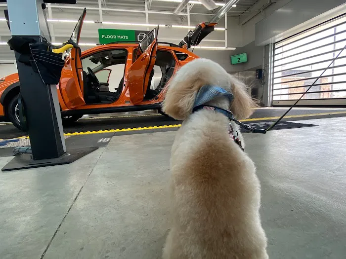 Crew Carwash Picture 9