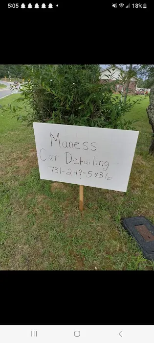 Maness Car Detail Picture 5