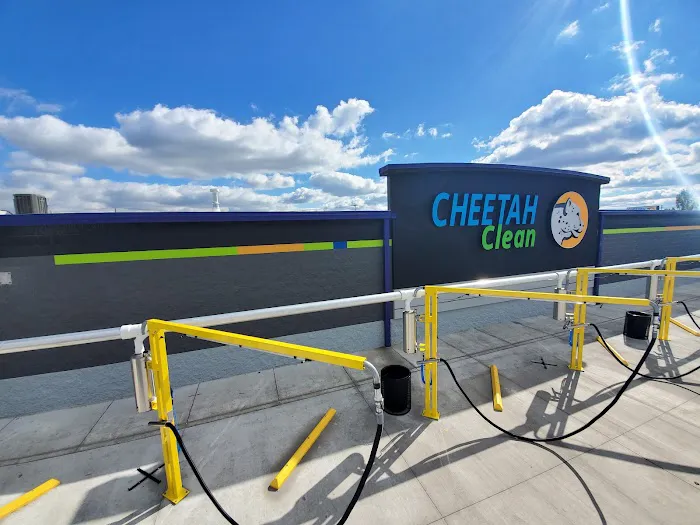 Cheetah Clean Auto Wash Picture 9