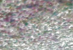 Village Car Wash photo 4