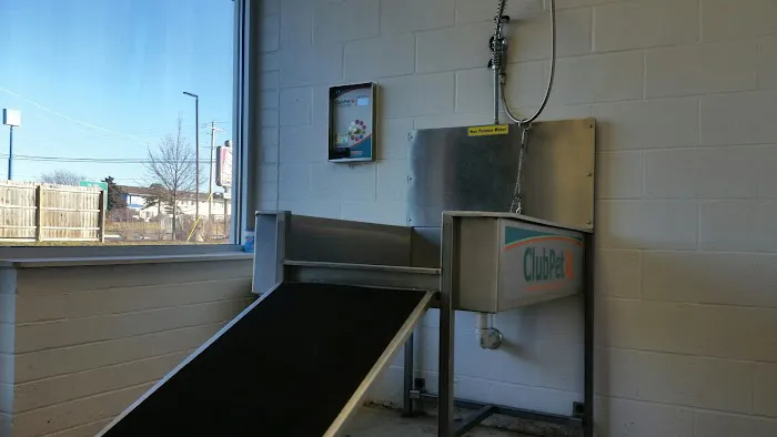 Rainstorm Car Wash Picture 6