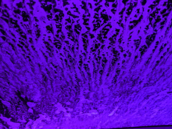 Rainstorm Car Wash Picture 10