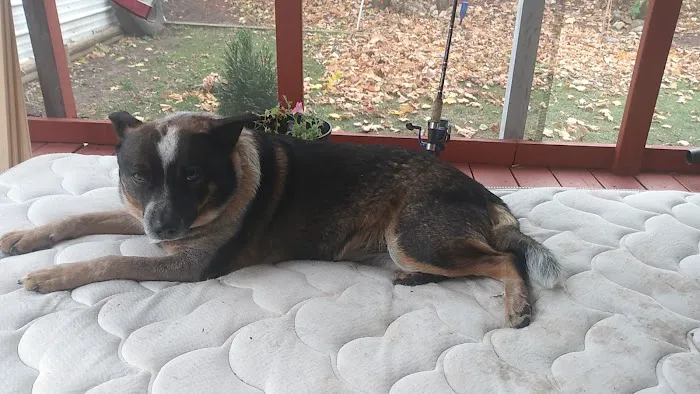 Key Car Wash Picture 10