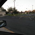 Super Wash