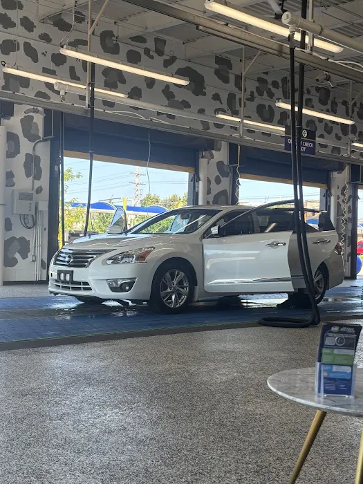 Cheetah Clean Auto Wash Picture 2