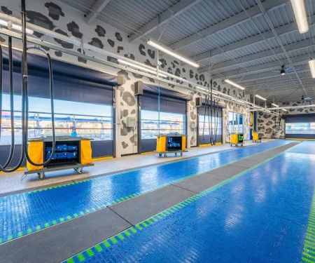 Cheetah Clean Auto Wash