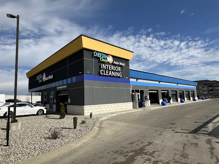 Cheetah Clean Auto Wash Picture 3