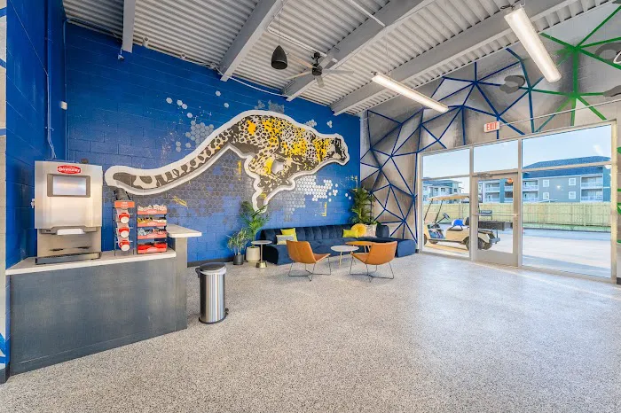 Cheetah Clean Auto Wash Picture 7