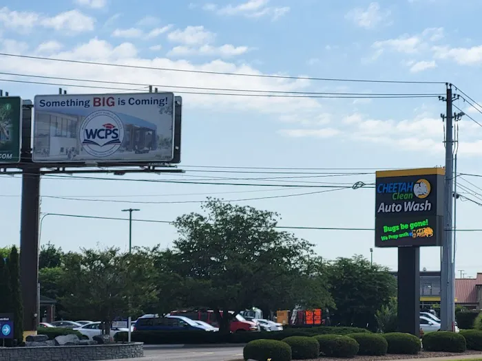 Cheetah Clean Auto Wash Picture 2