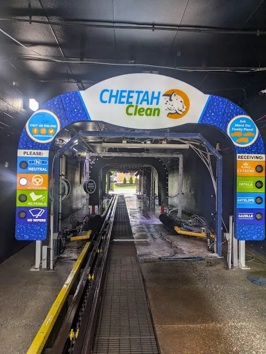 Cheetah Clean Auto Wash Picture 6