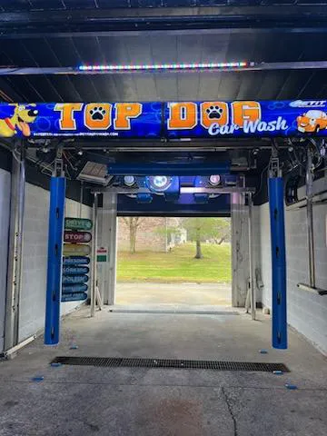 Top Dog Car Wash Picture 2