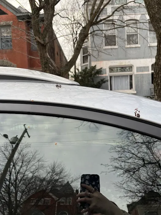 Mister G's Car Wash Picture 6