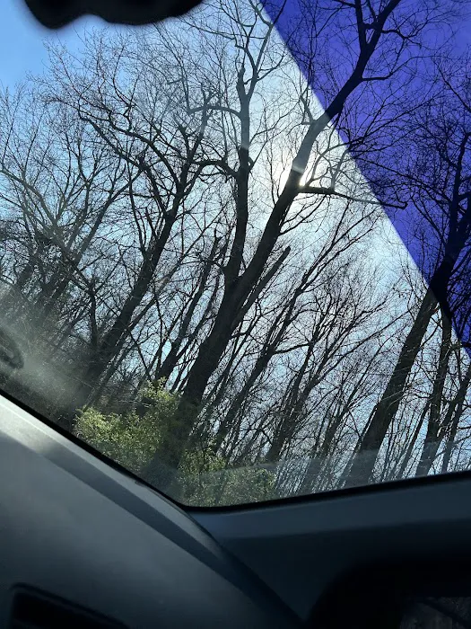 Moby's Auto Spa Picture 4