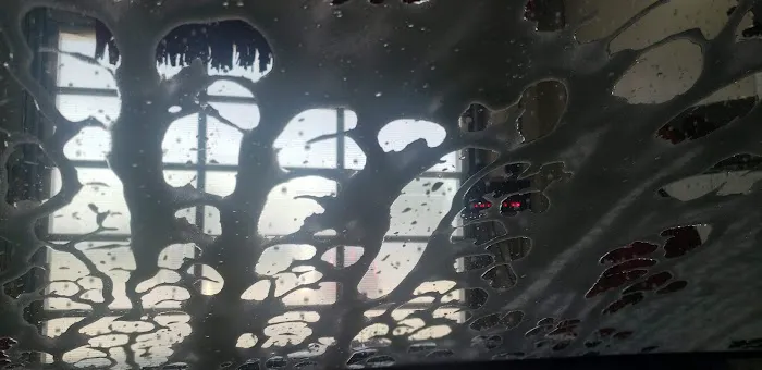 Mic-Zee's Ice Picture 5