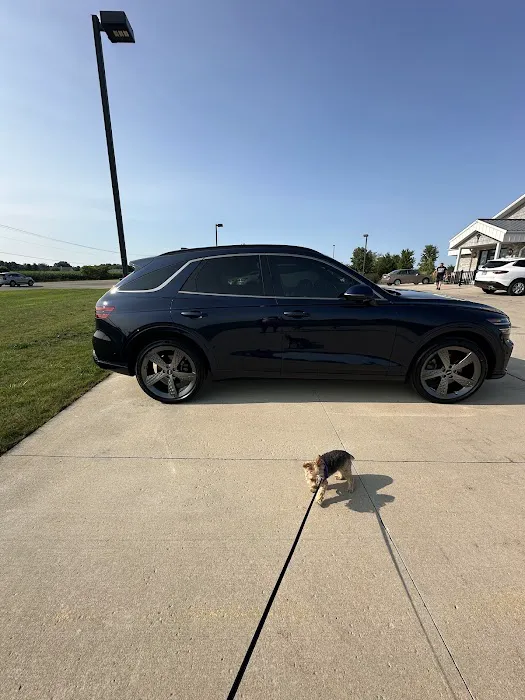 Ottawa Auto Spa Picture 4