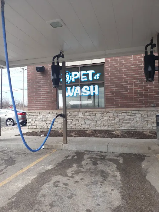 WashCove Car Wash Picture 10